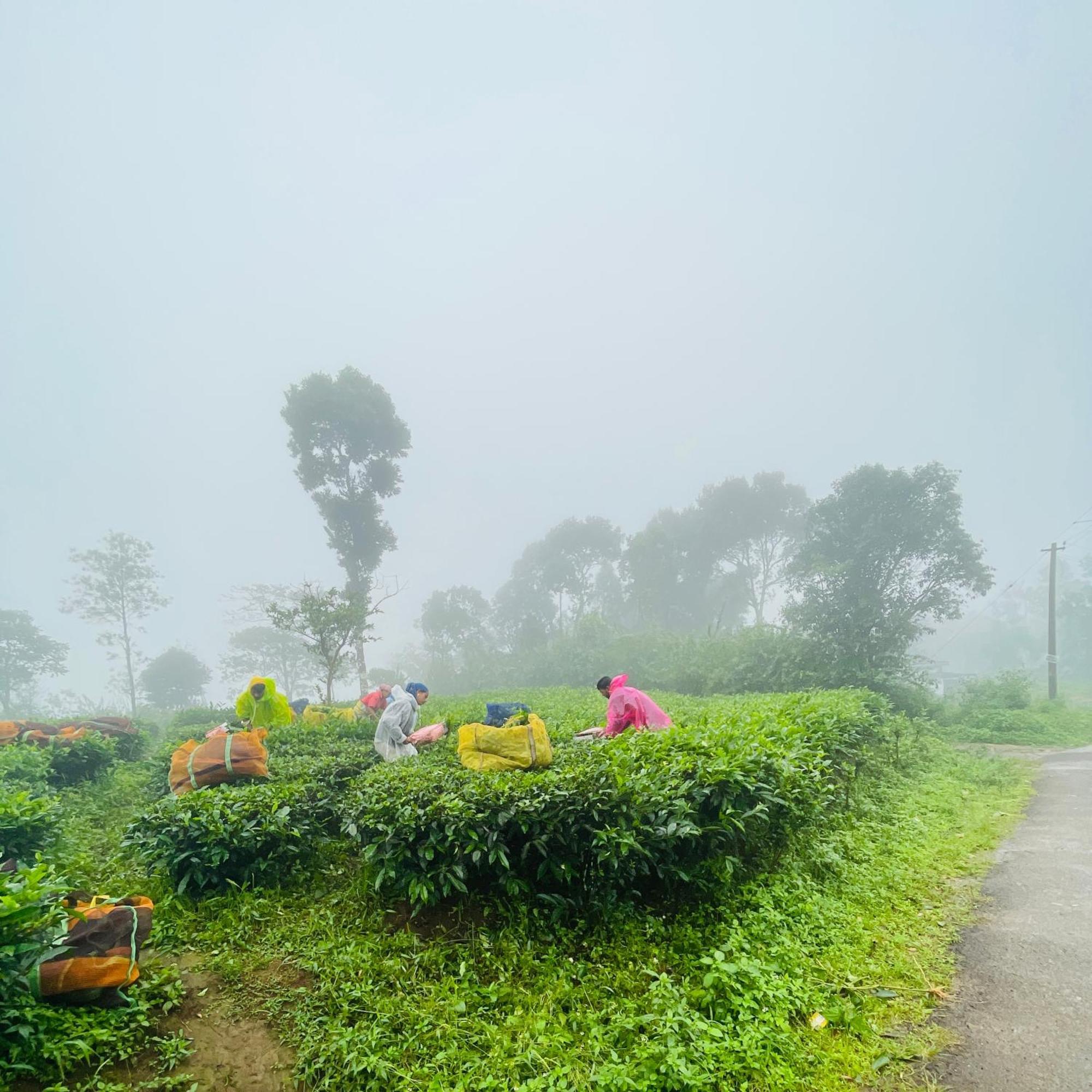 Best Mist อีดุกกี ภายนอก รูปภาพ