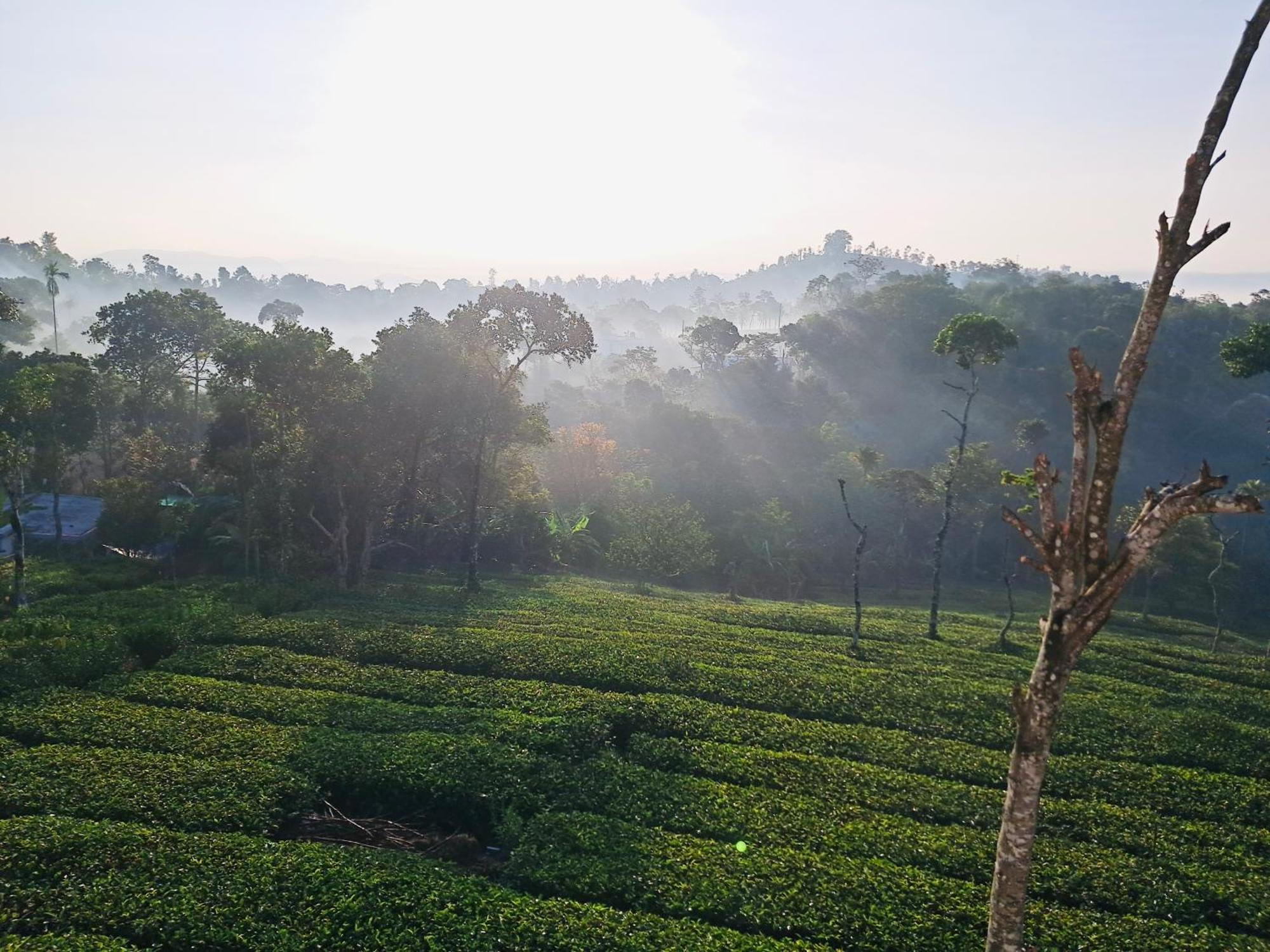 Best Mist อีดุกกี ภายนอก รูปภาพ